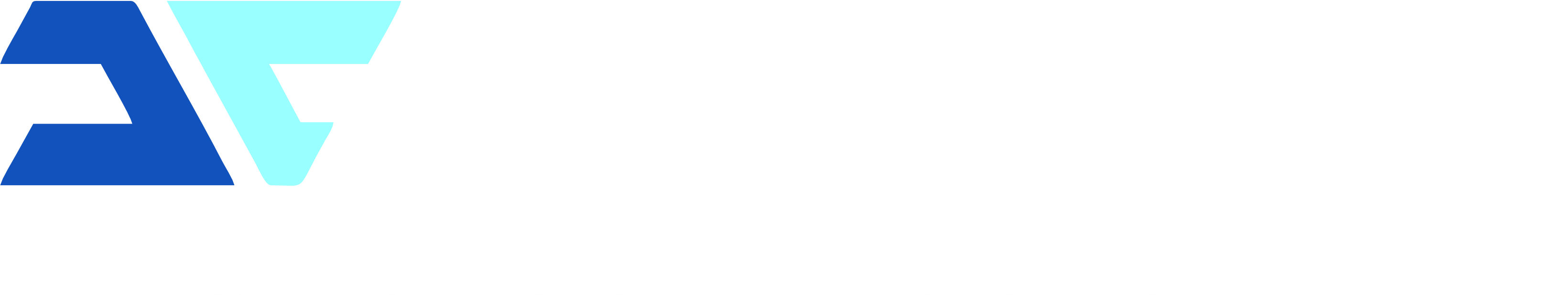 D&V GROUP BLOCKCHAIN